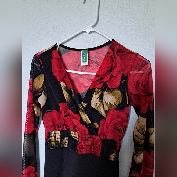 Red Roses Floral Mesh Dress - Picture 3 of 7